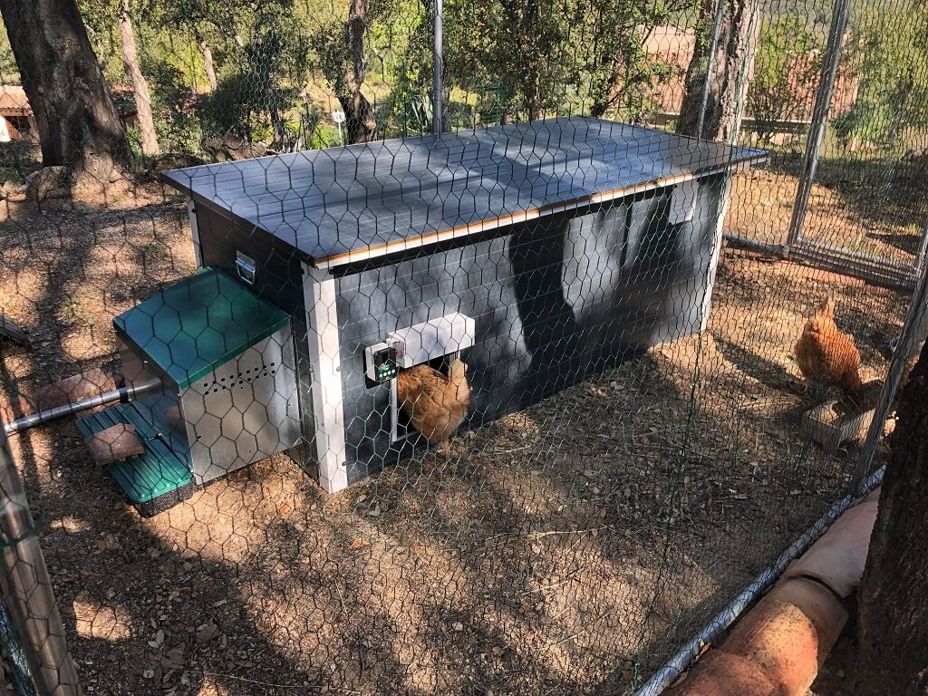 Porte de poulailler automatique Chicken Door : un indispensable