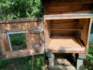 construire un poulailler