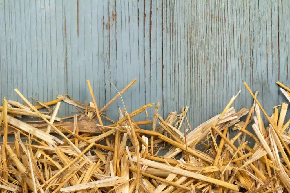 Choisir sa litière pour un poulailler sain – Le Village des Poules